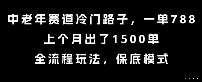 中老年赛道冷门路子，一单788，上个月出了1500单，全流程玩法，保底模式【揭秘】-创客聚集地
