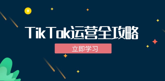 TikTok实战运营全攻略：从下载软件到变现，抖音海外版实操教程-创客聚集地