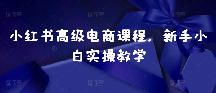 小红书高级电商课程，新手小白实操教学-创客聚集地