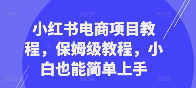 小红书电商项目教程，保姆级教程，小白也能简单上手-创客聚集地