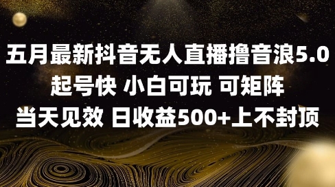 2025五月最新无人直播撸音浪单日产出5张+实操教程【揭秘】-创客聚集地