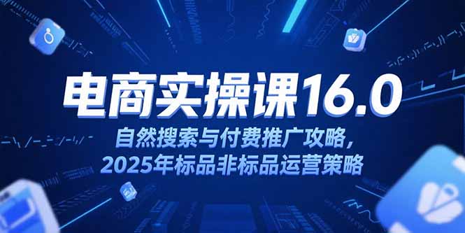 淘宝电商运营课16.0，自然搜索与付费推广攻略，2025年标品非标品运营策略-创客聚集地