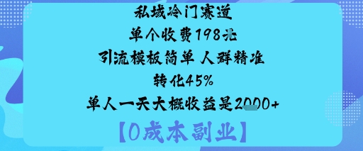 私域冷门赛道:单个收费198米引流模板简单人群精准转化45%单人一天大概收益是1k+-创客聚集地