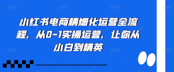 小红书电商精细化运营全流程，从0-1实操运营，让你从小白到精英-创客聚集地