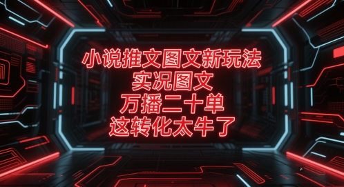小说推文图文新玩法，实况图文，万播二十单，这转化太牛了！-创客聚集地
