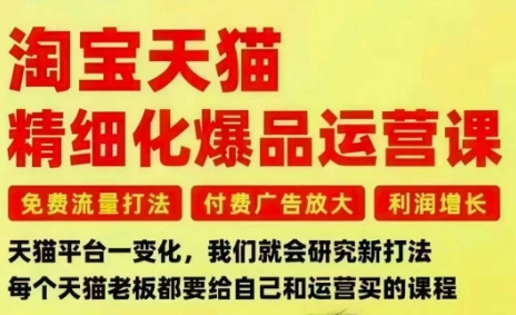淘宝天猫精细化爆品运营课，免费流量打法-付费广告放大-利润增长-三大核心痛点，一次全部解决-创客聚集地