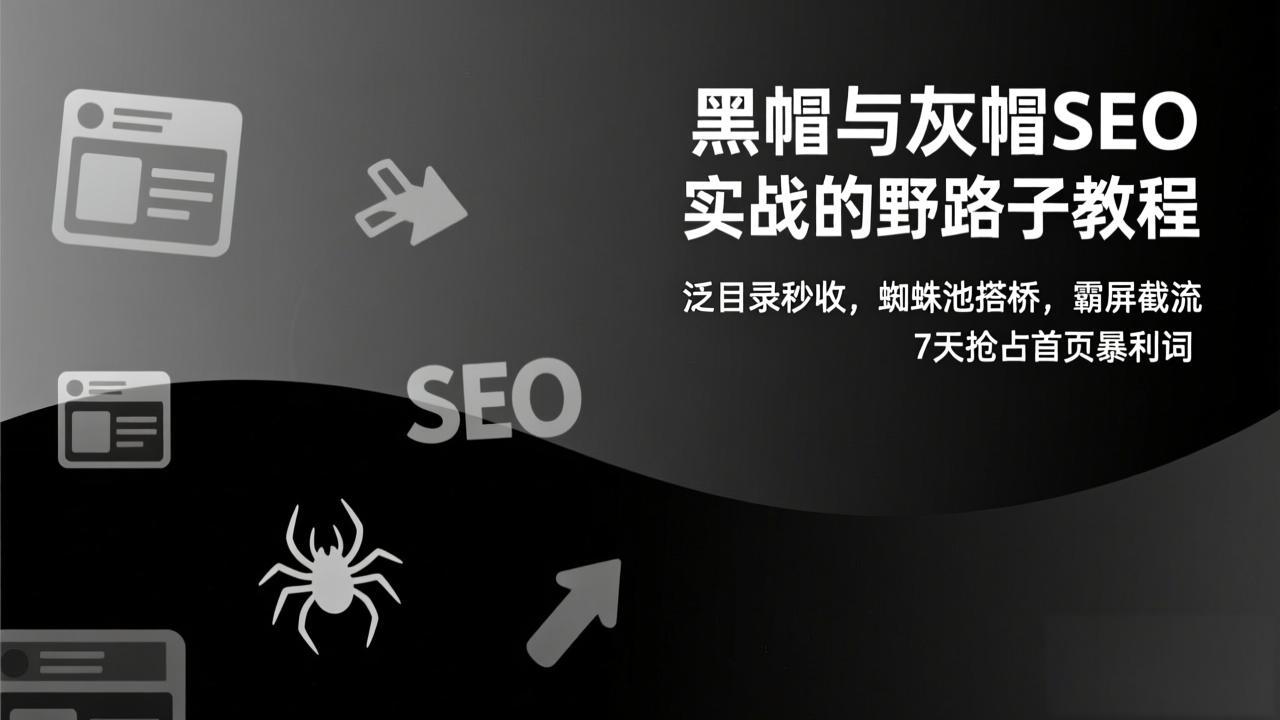 黑帽与灰帽SEO实战的野路子教程：泛目录秒收，蜘蛛池搭桥，霸屏截流，7天抢占首页暴利词-创客聚集地