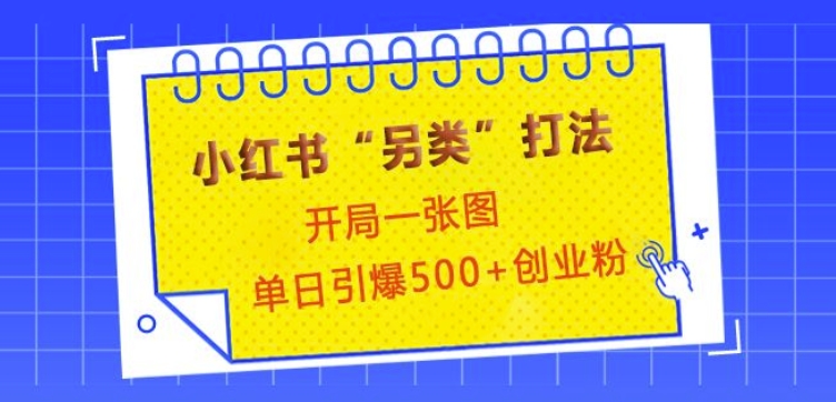 小红书“另类”打法，开局一张图，单日引爆500+精准创业粉【揭秘】-创客聚集地