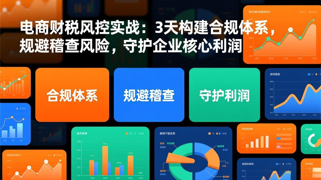 电商财税风控实战：3天构建合规体系，规避稽查风险，守护企业核心利润-创客聚集地