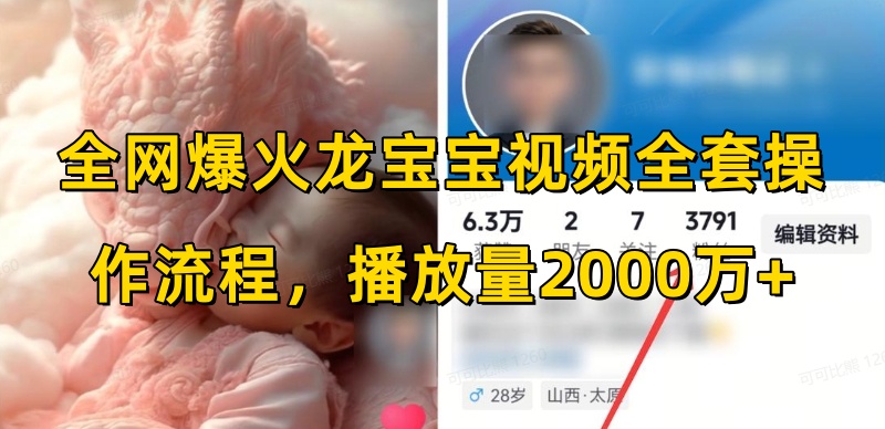 全网爆火龙宝宝视频全套操作流程，播放量2000万+-创客聚集地