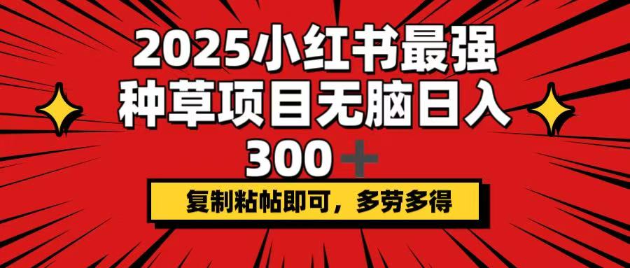 2025小红书最强种草项目，无脑日入300+，复制粘帖即可，多劳多得-创客聚集地