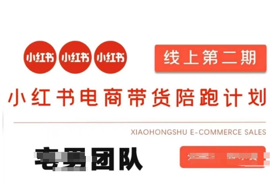 小红书电商带货课2期，月利润20个的小红书电商的有货源，无货源，虚拟产品，付费投流等整套玩法-创客聚集地
