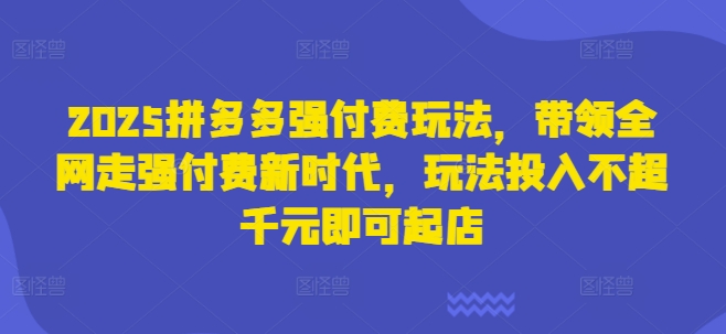 2025拼多多强付费玩法，带领全网走强付费新时代，玩法投入不超千元即可起店-创客聚集地