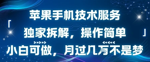 苹果手机技术服务，独家拆解，操作简单，小白可做，月过1W不是梦-创客聚集地