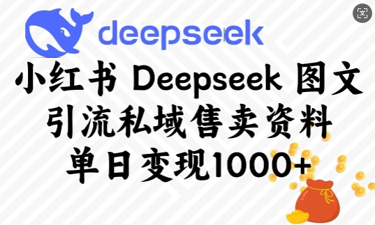 小红书Deepseek图文引流私域售卖资料，单日变现多张-创客聚集地