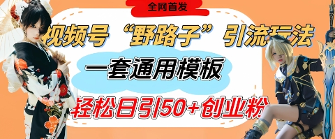 视频号“野路子”玩法，评论区疯狂截流，一套模板单日单号引流50+创业粉-创客聚集地