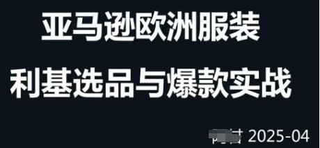 跨境电商选品案例24-25年，聚焦跨境电商选品策略与运营优化，助力卖家挖掘蓝海市场-创客聚集地