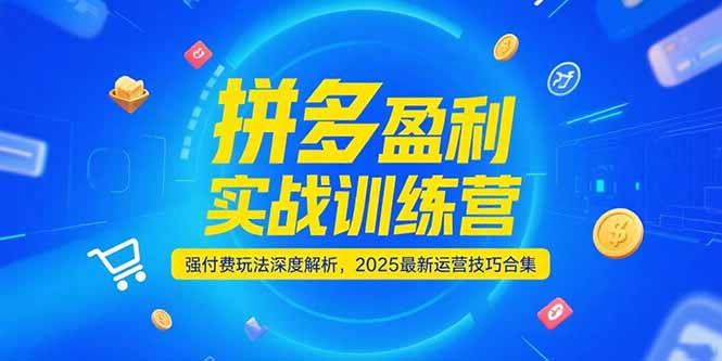 拼多多盈利实战训练营，强付费玩法深度解析，2025运营技巧合集-更新6月-创客聚集地