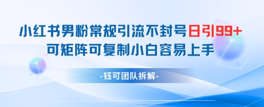 小红书男粉常规引流不封号日引99+变现简单 可矩阵可复制小白容易上手-创客聚集地