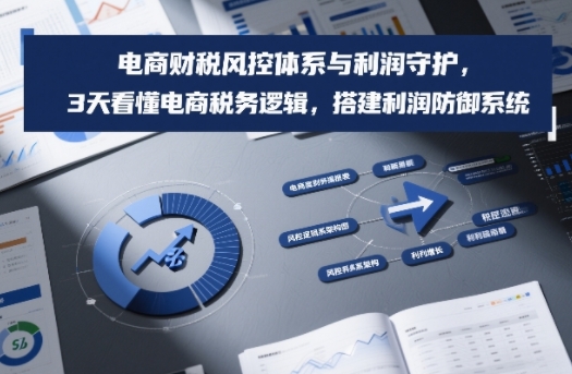 电商财税风控体系与利润守护，3天看懂电商税务逻辑，搭建利润防御系统-创客聚集地