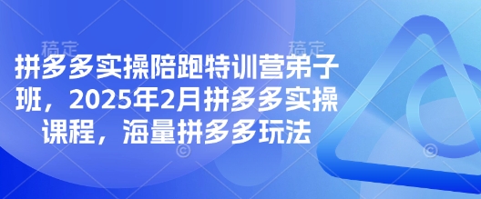 拼多多实操陪跑特训营弟子班，2025年2月拼多多实操课程，海量拼多多玩法-创客聚集地