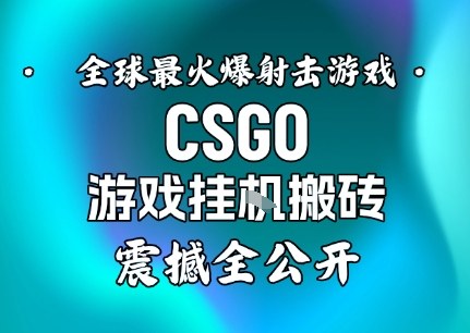 【年底大揭秘】基于全球最火爆的射击CSGO游戏挂G搬砖，日入5张+，震撼公开-创客聚集地