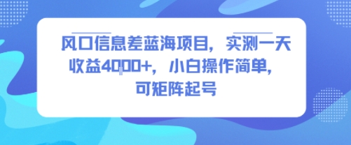 风口信息差蓝海项目，实测一天收益4k+，小白操作简单，可矩阵起号-创客聚集地