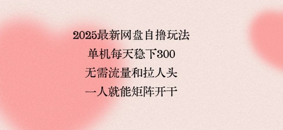2025最新网盘自撸玩法，单机每天稳下3张，无需流量和拉人头，一个人就可轻松矩阵，全网独一份【揭秘】-创客聚集地