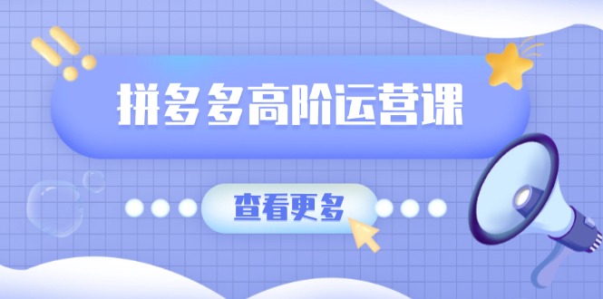 拼多多高阶运营课：极致群爆款玩法，轻付费无尽复制，打造单品爆款之路-创客聚集地