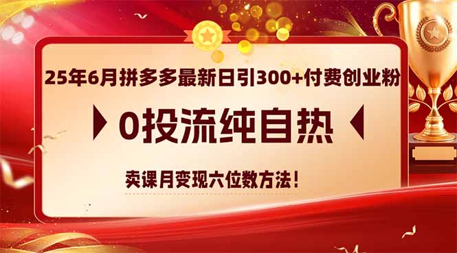 25年6月拼多多最新日引300+付费创业粉，0投流纯自热 卖课月变现六位数方法-创客聚集地