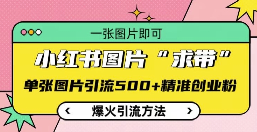 小红书图片‘求带’爆火引流法，单张图片引流500+精准创业粉【揭秘】-创客聚集地