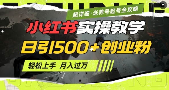 2月小红书最新日引500+创业粉实操教学【超详细】小白轻松上手，月入1W+，附小红书养号起号SOP-创客聚集地