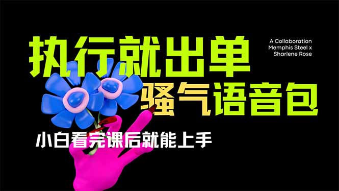 爆火全网的开车导航骚气语音包,只要执行就出单，小白看完课程就能实操…-创客聚集地