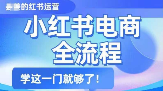 小红书电商全流程，精简易懂，从入门到精通，学这一门就够了-创客聚集地