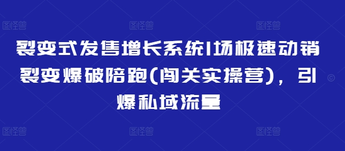 裂变式发售增长系统1场极速动销裂变爆破陪跑(闯关实操营)，引爆私域流量-创客聚集地