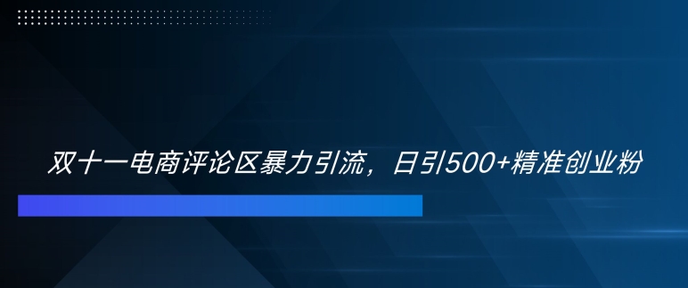 双十一电商评论区暴力引流，日引500+精准创业粉【揭秘】-创客聚集地