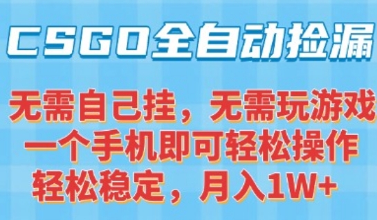 CSGO自动捡漏项目，最新独家玩法，一个手机可操作，新手小白轻松月入1W+，操作简单易上手【揭秘】-创客聚集地