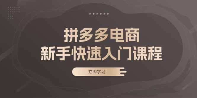 拼多多电商新手快速入门课程：涵盖基础、实战与选款，助力小白轻松上手-创客聚集地