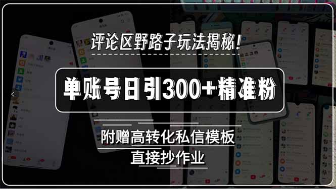 评论区野路子玩法揭秘！单账号日引300+精准粉，附赠高转化私信模板，直…-创客聚集地