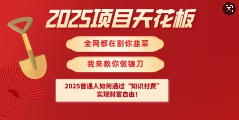 2025项目天花板普通人如何通过知识付费，实现财F自由【揭秘】-创客聚集地